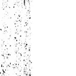 Image Tile