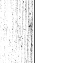 Image Tile