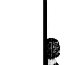 Image Tile