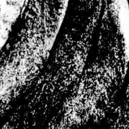 Image Tile