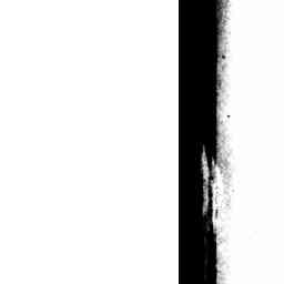 Image Tile
