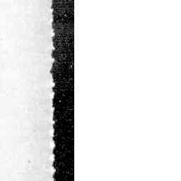 Image Tile