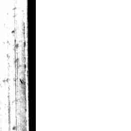 Image Tile