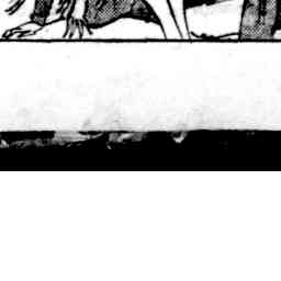 Image Tile