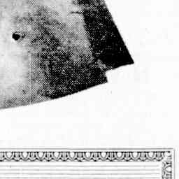 Image Tile