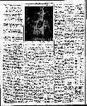 Page overview thumbnail