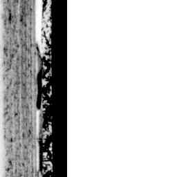 Image Tile