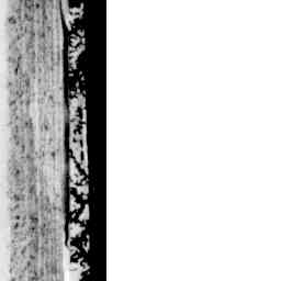 Image Tile