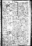 Page 19 thumbnail