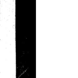 Image Tile