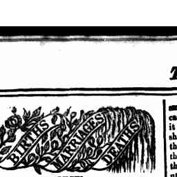 Image Tile