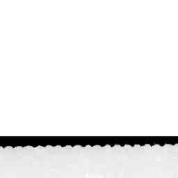 Image Tile