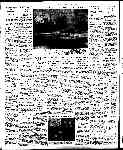 Page overview thumbnail