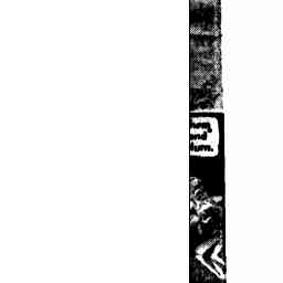 Image Tile