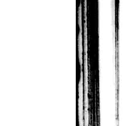 Image Tile