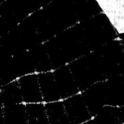 Image Tile