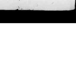 Image Tile