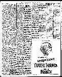 Page overview thumbnail