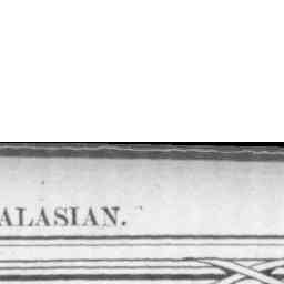Image Tile