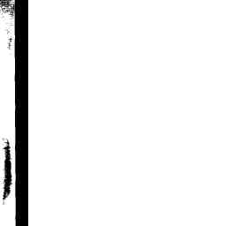 Image Tile