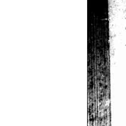 Image Tile