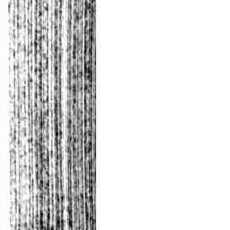 Image Tile