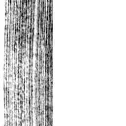 Image Tile