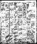 Page 19 thumbnail