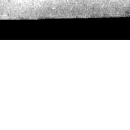 Image Tile