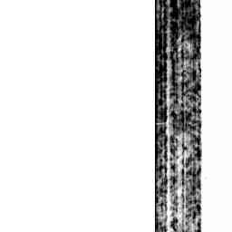 Image Tile