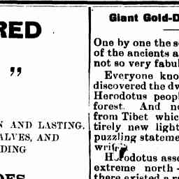 12 Jul 1907 - Giant Gold-Digging Ants. - Trove