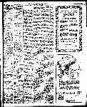 Page overview thumbnail