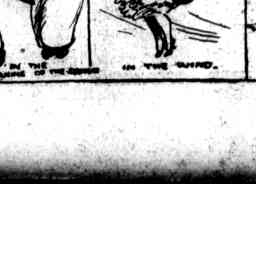 Image Tile