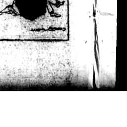 Image Tile