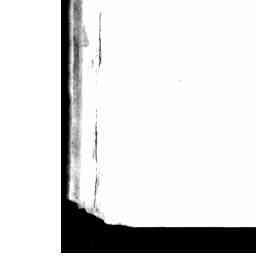 Image Tile