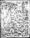 Page 19 thumbnail