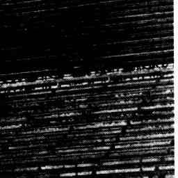 Image Tile