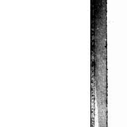 Tête de balai plat articulé Speedy - 40 x 13 cm - Thouy