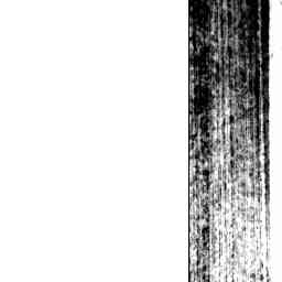 Image Tile