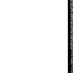 Image Tile