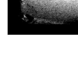 Image Tile