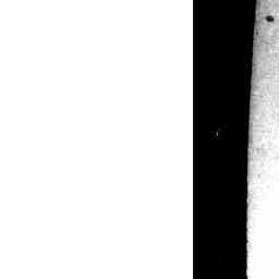 Image Tile