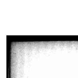 Image Tile