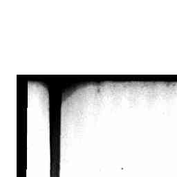 Image Tile