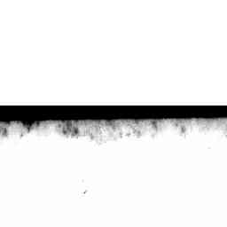 Image Tile