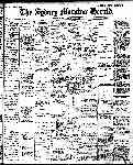 Page overview thumbnail
