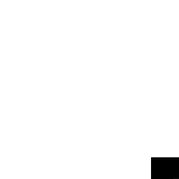 Image Tile