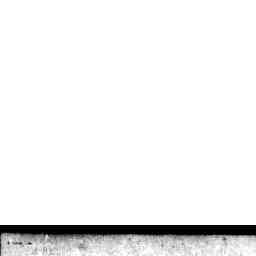 Image Tile