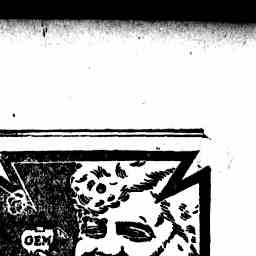 Image Tile
