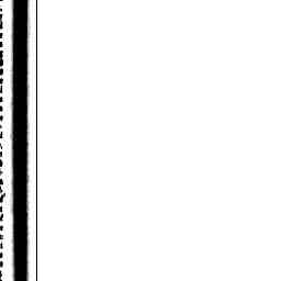 Image Tile